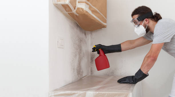 Professional Commercial Mold Remediation technician working in Somerville, TX