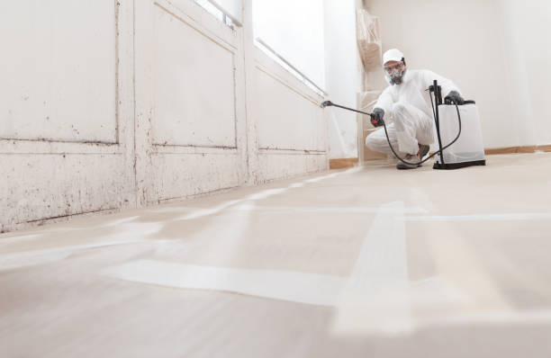 24/7 Emergency Commercial Mold Remediation experts in Somerville, TX