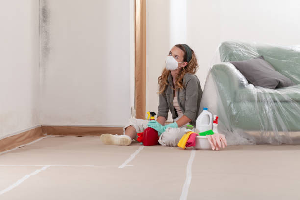 Reliable Commercial Mold Remediation contractor in Somerville, TX by Mold Remediation HQ